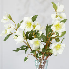 Load image into Gallery viewer, Off White Faux Hellebore