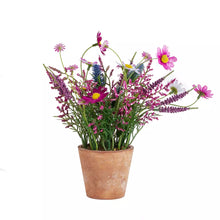 Load image into Gallery viewer, pink wildflowers in pot