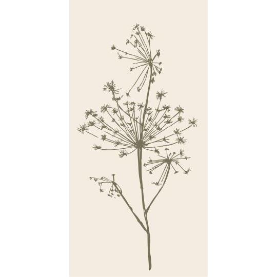 Pack 16 green cow parsley paper napkins