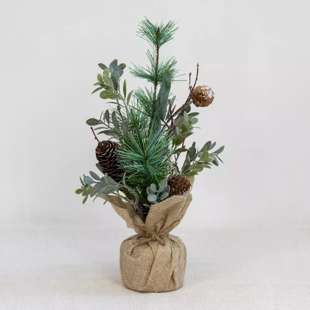 Small Foliage & Fir cone Tree