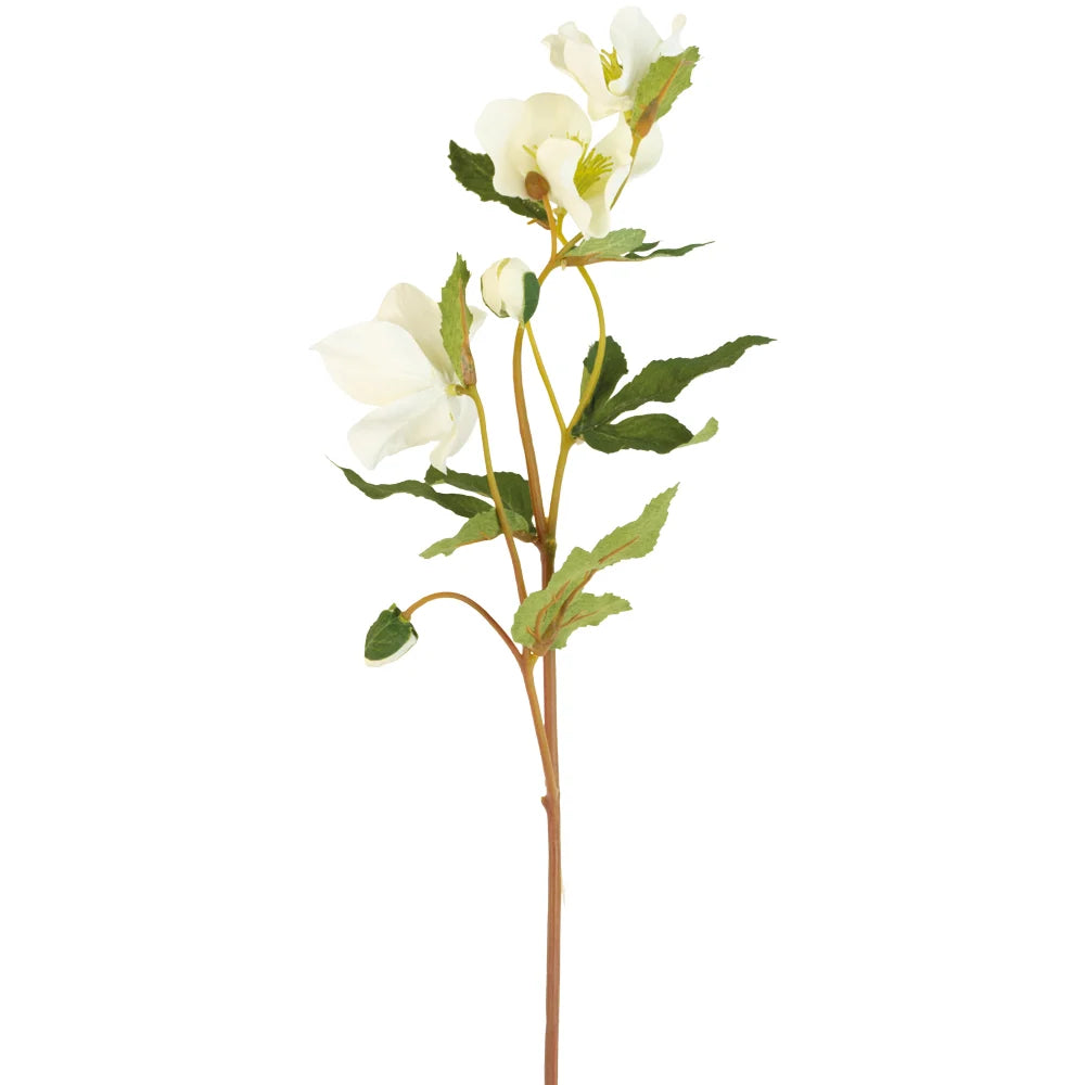 Off White Faux Hellebore