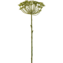 Load image into Gallery viewer, Faux Cow Parsley Stem
