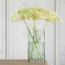 Load image into Gallery viewer, Faux Cow Parsley Stem
