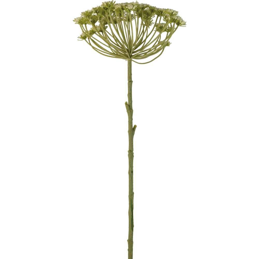 Faux Cow Parsley Stem