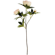 Load image into Gallery viewer, Pale Blush Faux Peony Stem
